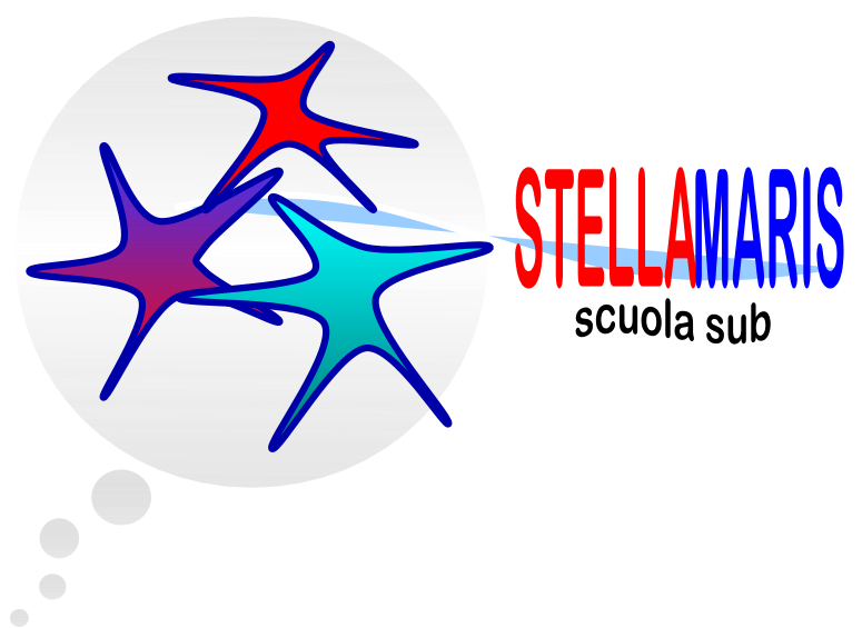 Logo Stellamaris Scuola SUB